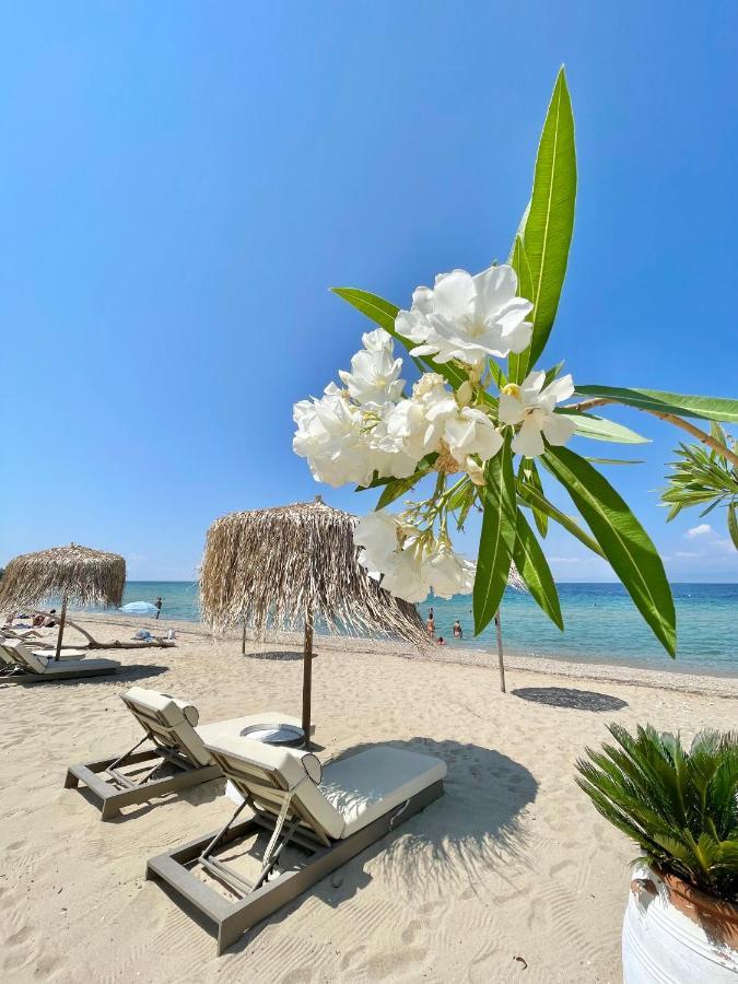 Byblos Mare-The Exclusive Beach Front Villa سكالا سوتيروس المظهر الخارجي الصورة