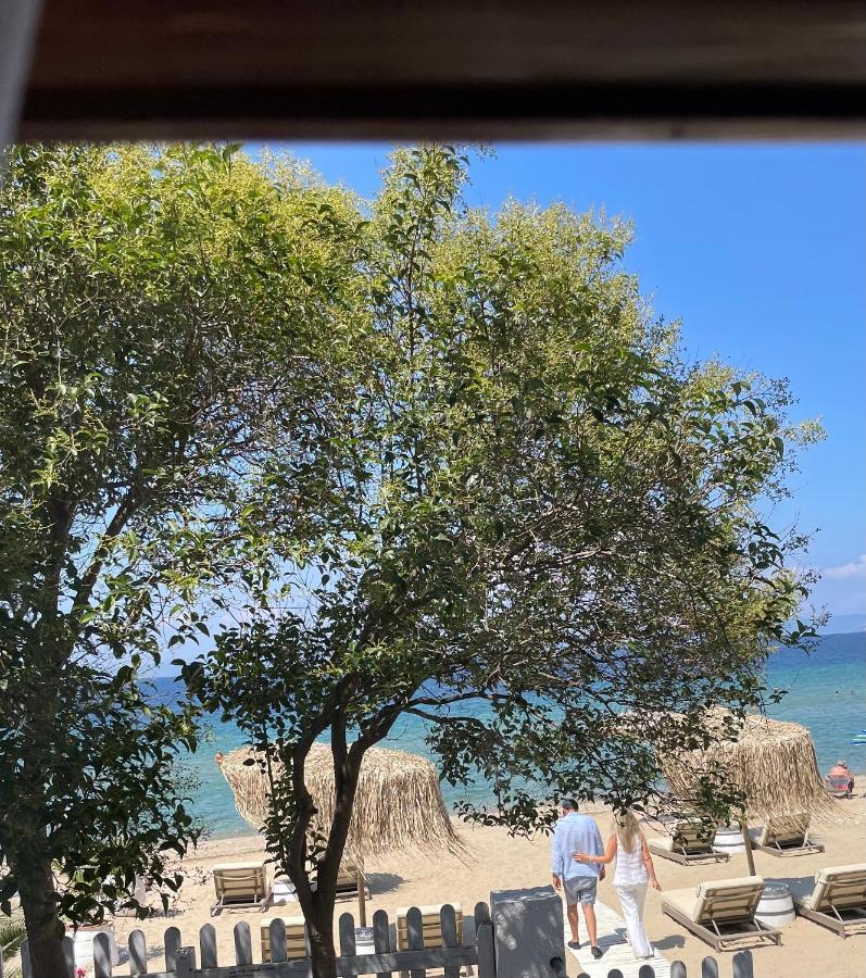 Byblos Mare-The Exclusive Beach Front Villa سكالا سوتيروس المظهر الخارجي الصورة